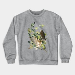 Audubon Broad-winged Hawk Crewneck Sweatshirt